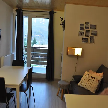 In Les Deux Alpes, Area Access *